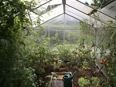 Molino de viento con tanque