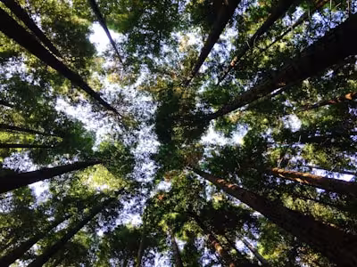 Servicio de alambrado rural